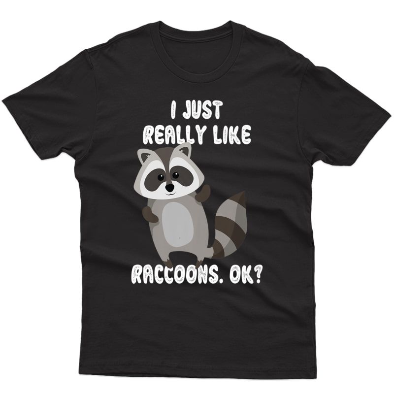 I Just Really Like Raccoons Ok? Raccoon Lover Gift Tshirt